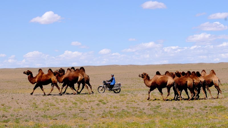 Dimensional Nomads